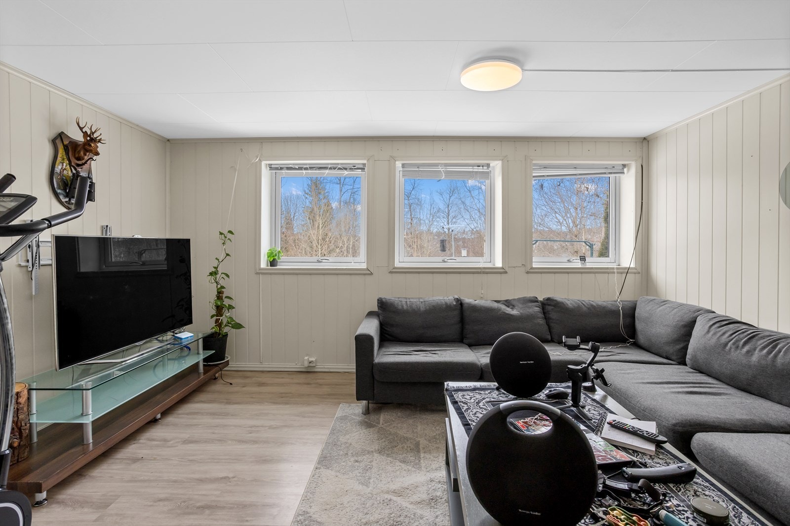 Store vinduer og utsyn mot hagen. Rom ikke omsøkt og godkjent for varig opphold. Galleribilde