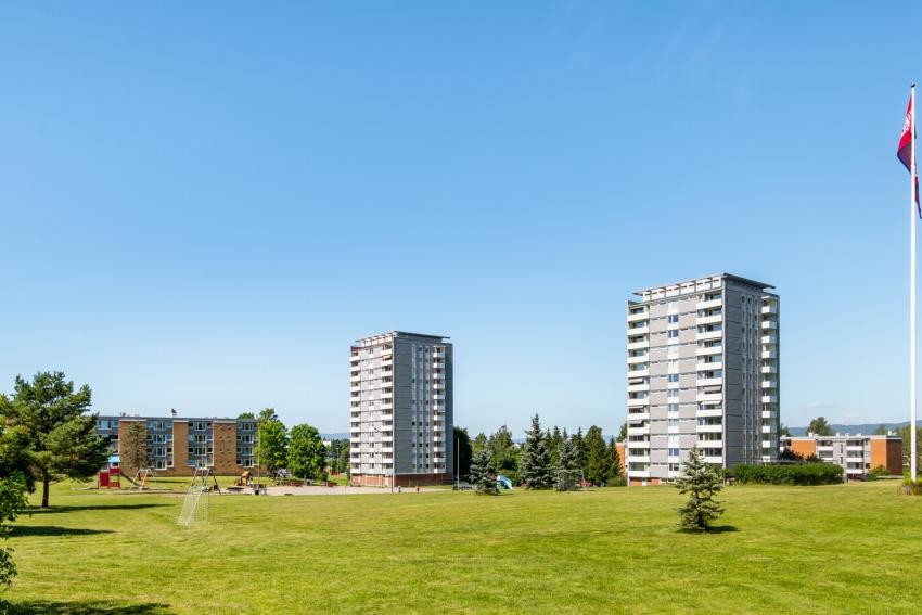 Store grøntarealer i borettslaget. Galleribilde