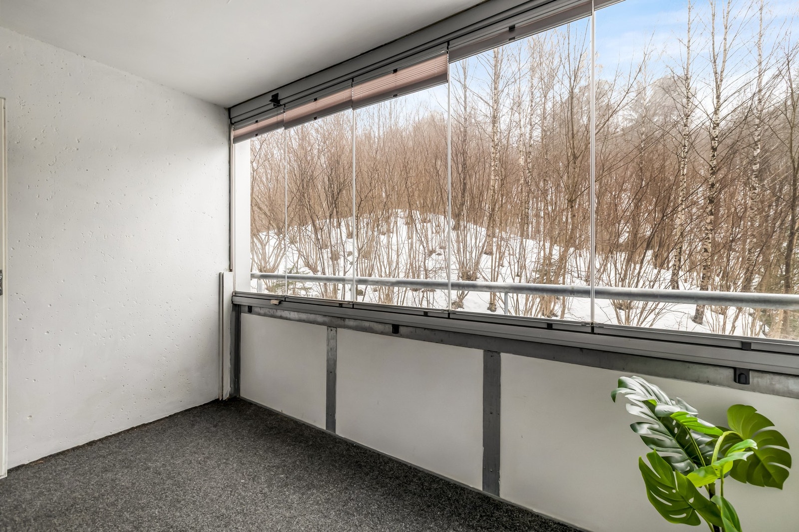 Velkommen til visning Galleribilde