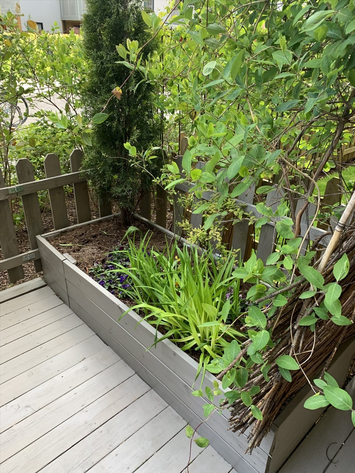 Selgers bilder fra hagen. Galleribilde