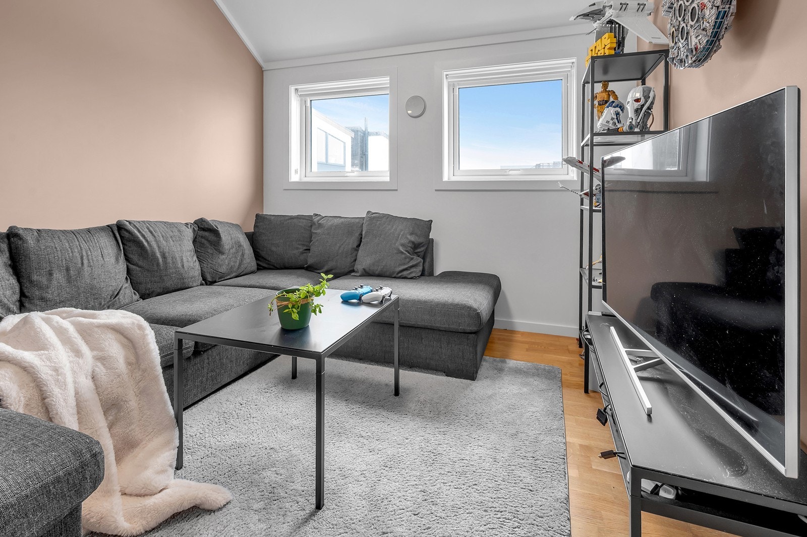 Soverom Galleribilde