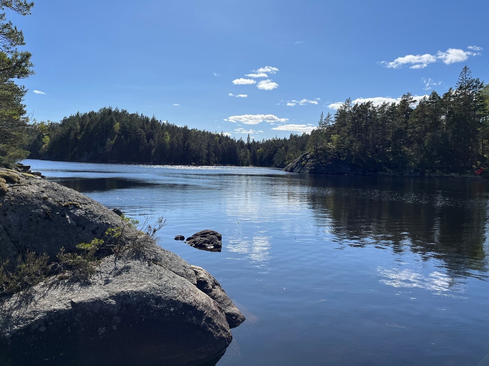 Bilder av mørkvann, som grenser til tilhørende skogspersell. Galleribilde