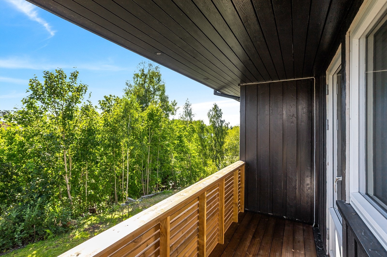 Din private uteplass med utsikt over tretoppene. Galleribilde