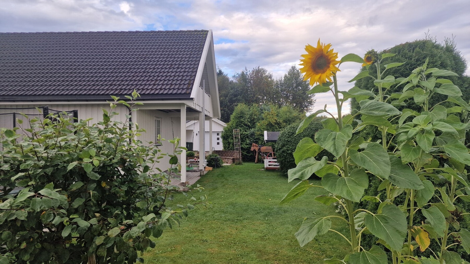Bilde tatt av selger Galleribilde