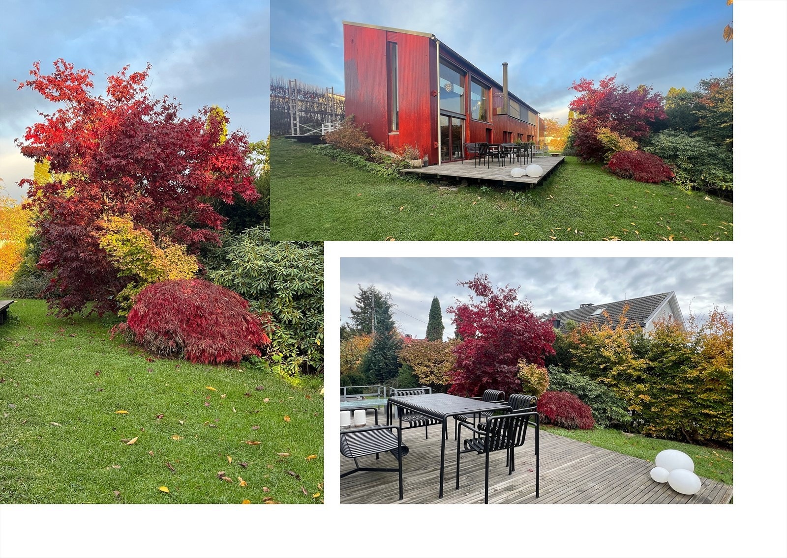 Private bilder Galleribilde