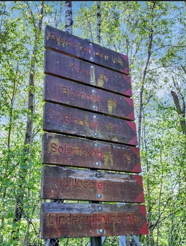 Boligen har tilgang til fantastiske turmuligheter og enkel adkomst til marka. Galleribilde