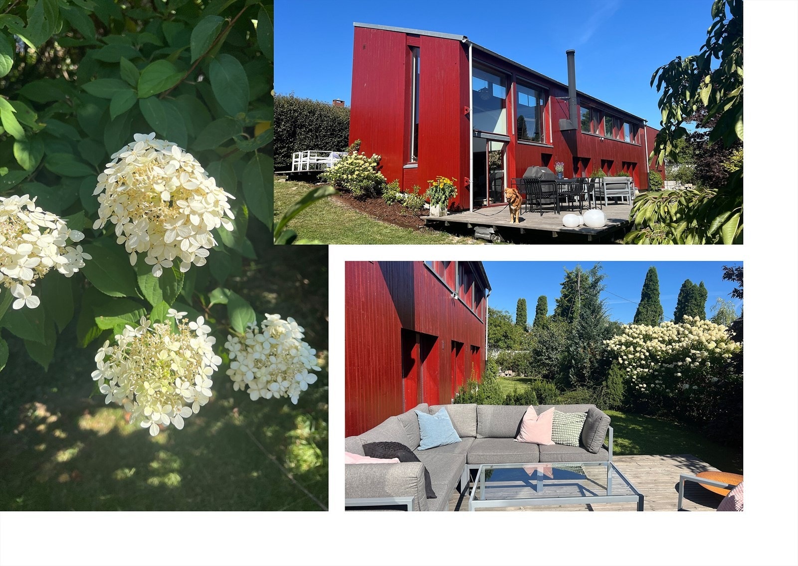 Private bilder Galleribilde