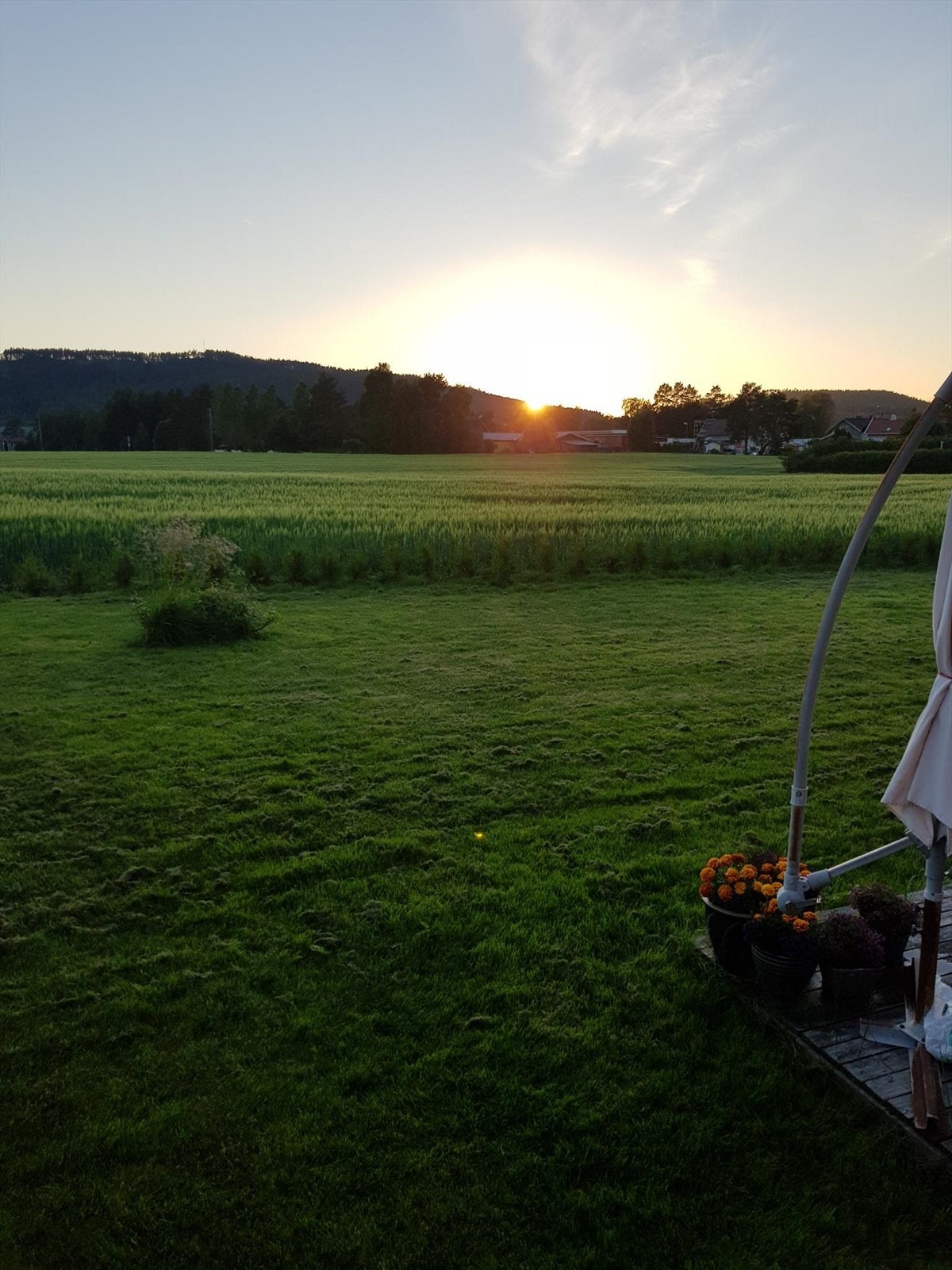 Selgers egne bilder - solnedgang fra terrassen Galleribilde
