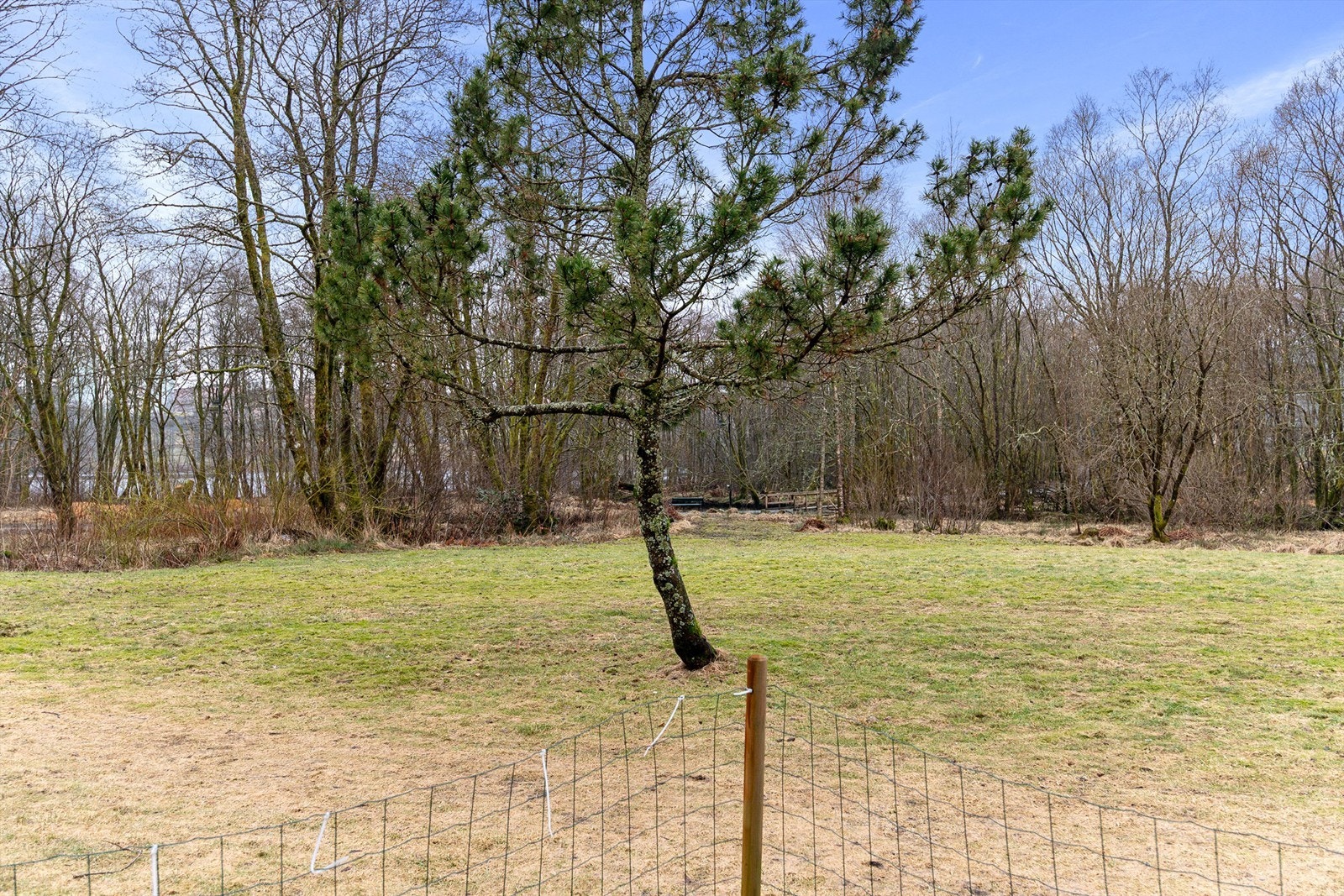 -Utsikt fra terrassen mot Ortuvannet - Galleribilde