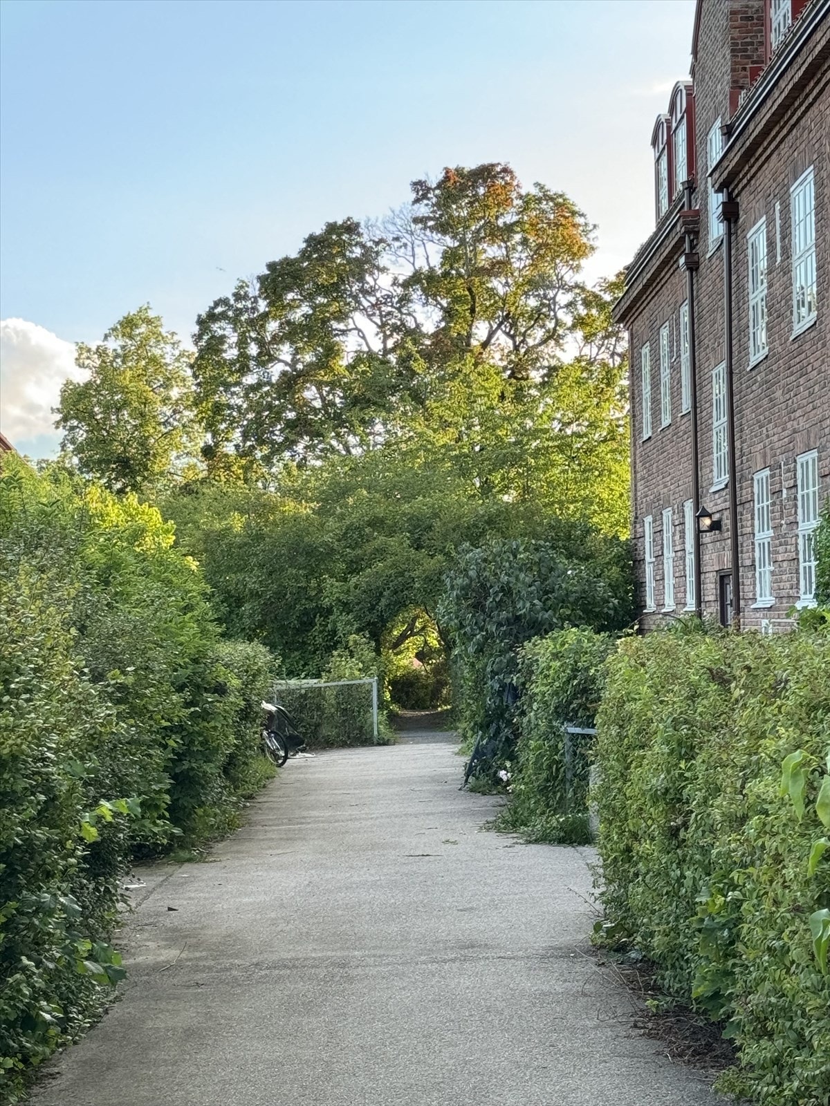 Selgers eget bilde. Galleribilde