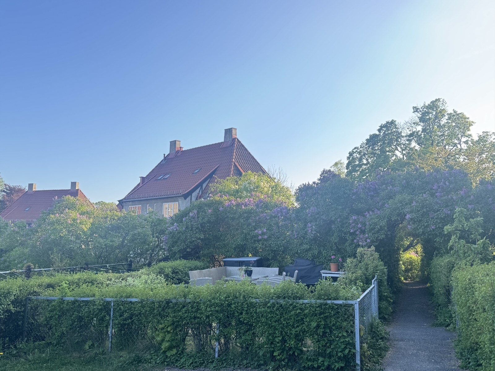 Selgers eget bilde. Galleribilde