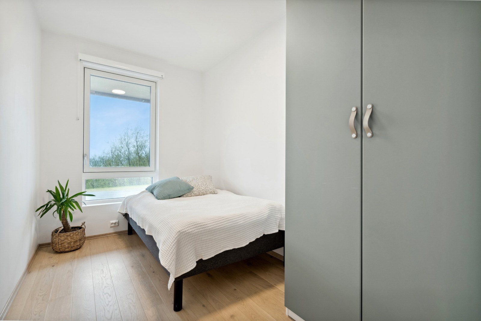 Fargevalgene gir rommene en moderne karakter Galleribilde