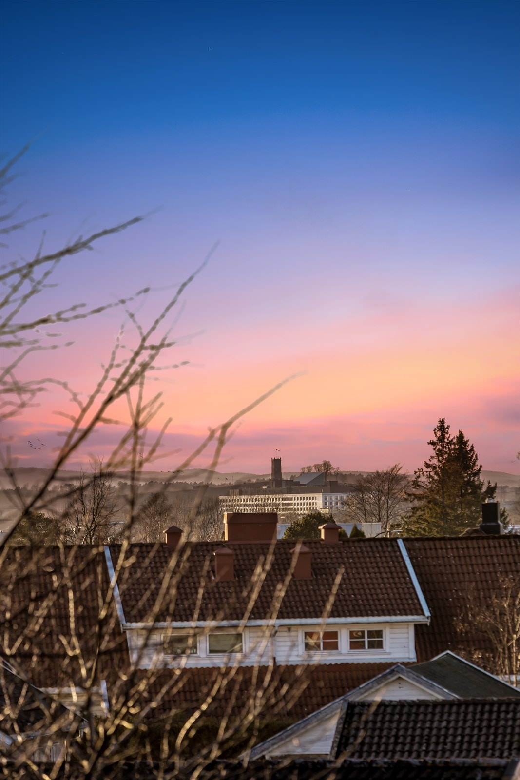 Skumring Galleribilde