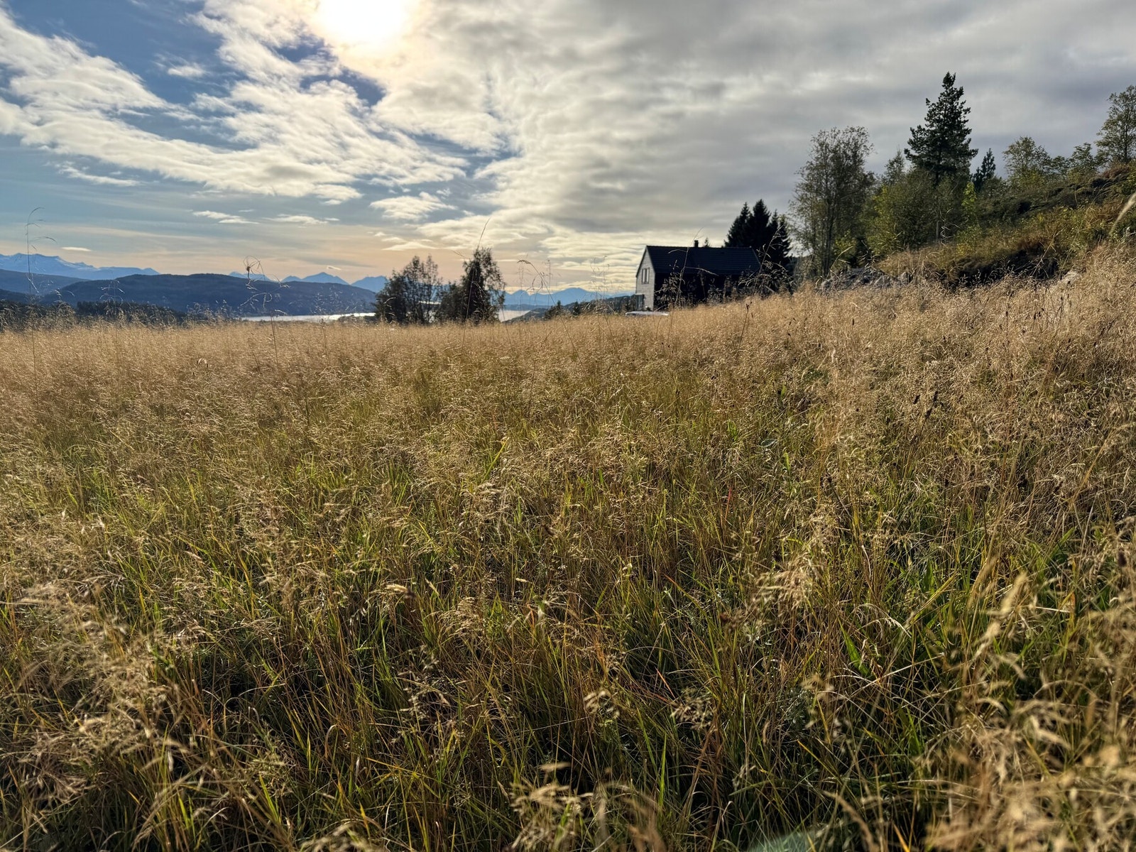 Privat foto Galleribilde