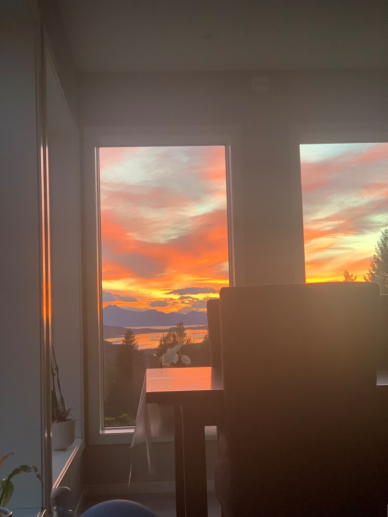 Privat foto Galleribilde