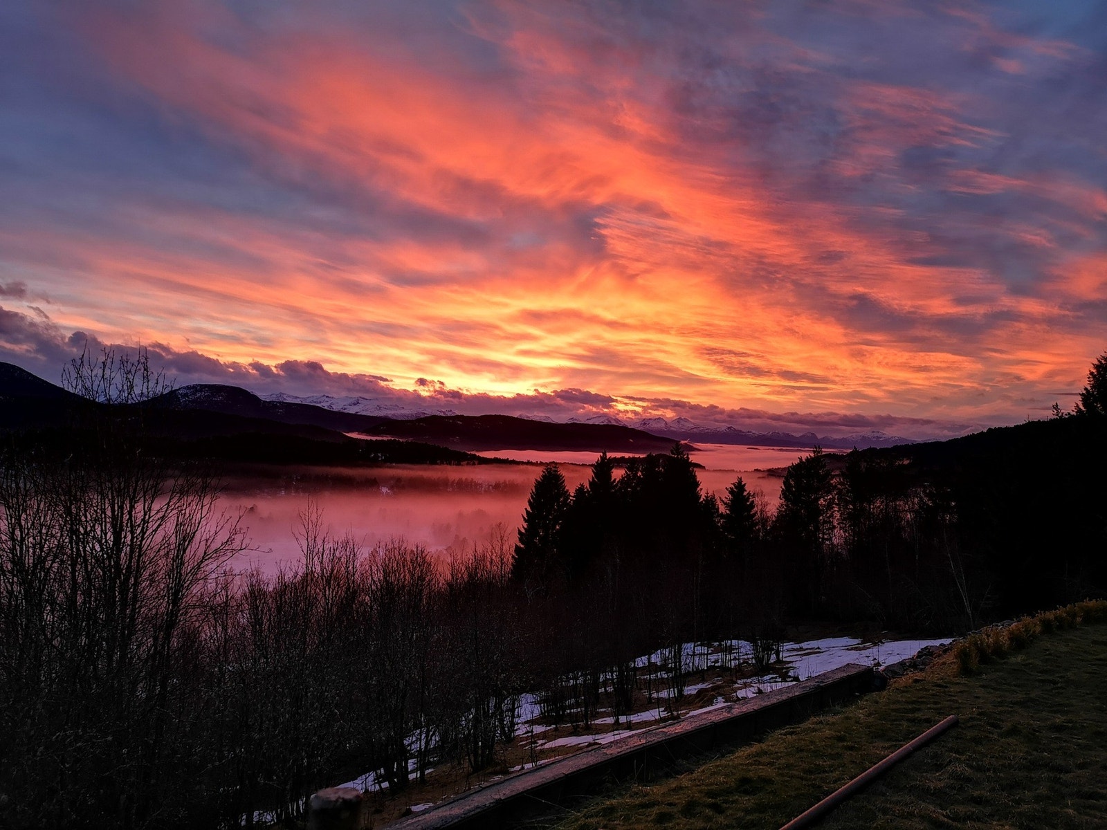 Privat foto Galleribilde