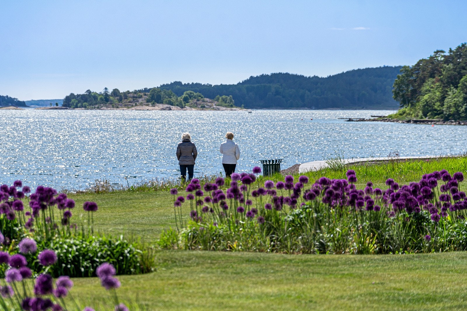 Områdebilde Galleribilde