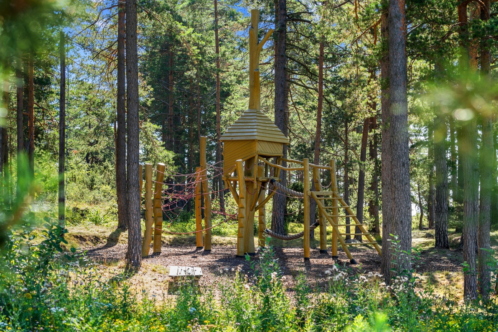 Områdebilde Galleribilde