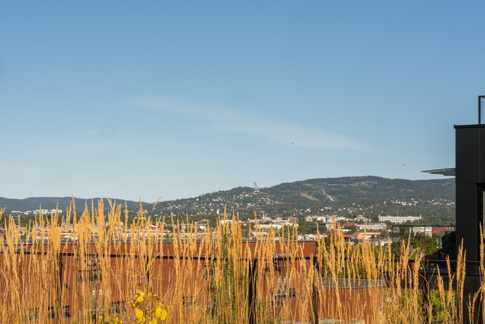 Utsikten strekker seg også mot de grønne åsene som omkranser byen. Galleribilde