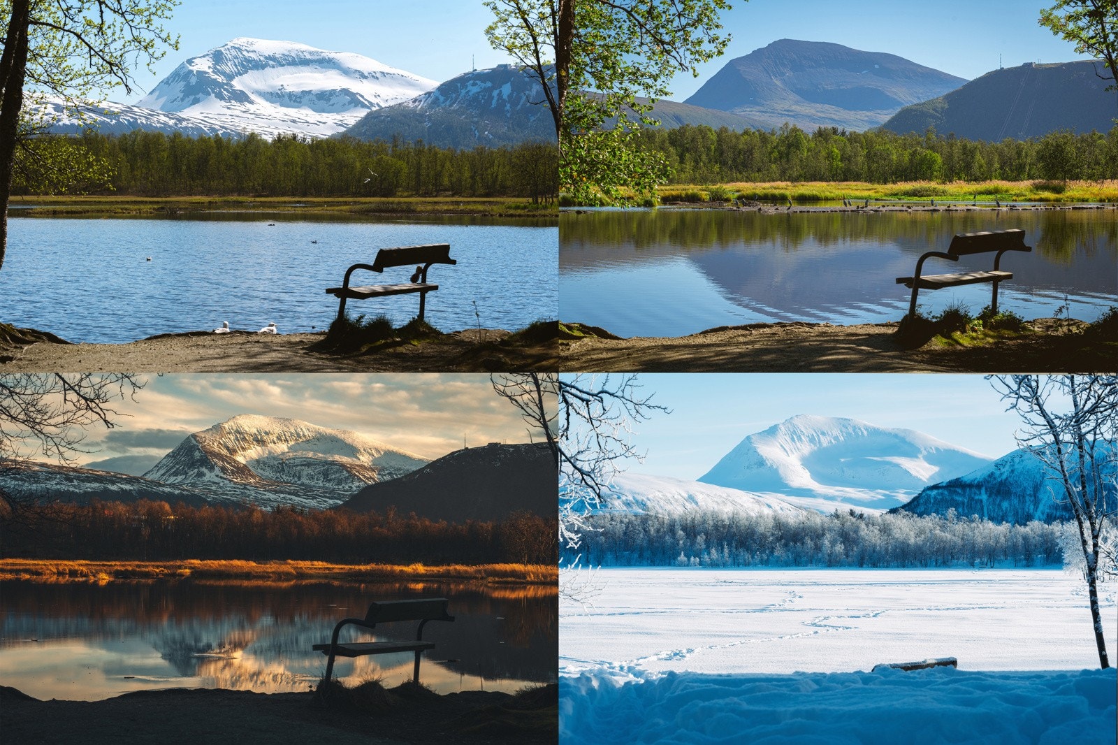 Fra leiligheten er det en kort spasertur til lysløype og Prestvannet.
