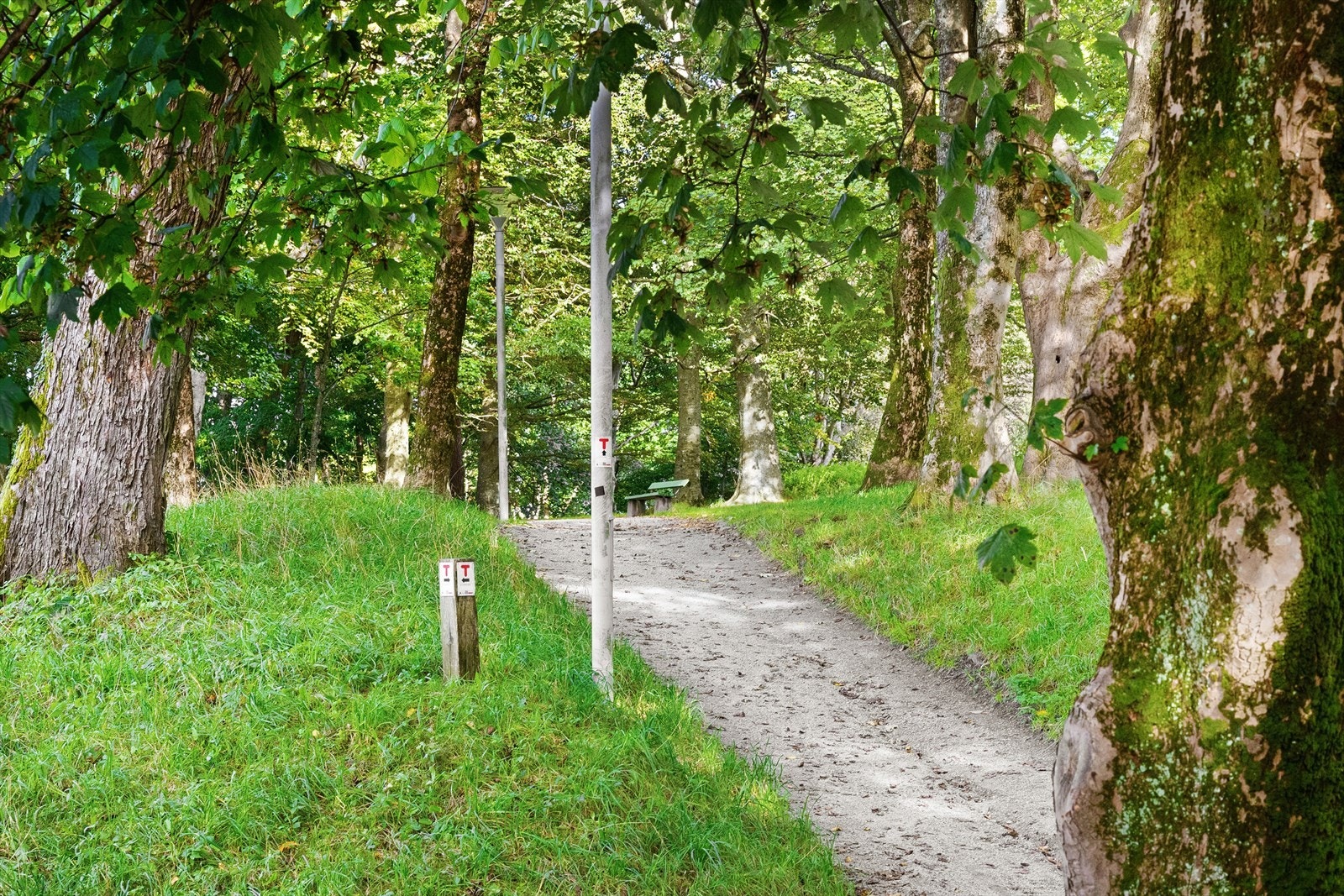 Flere parker og turstier like ved. Galleribilde