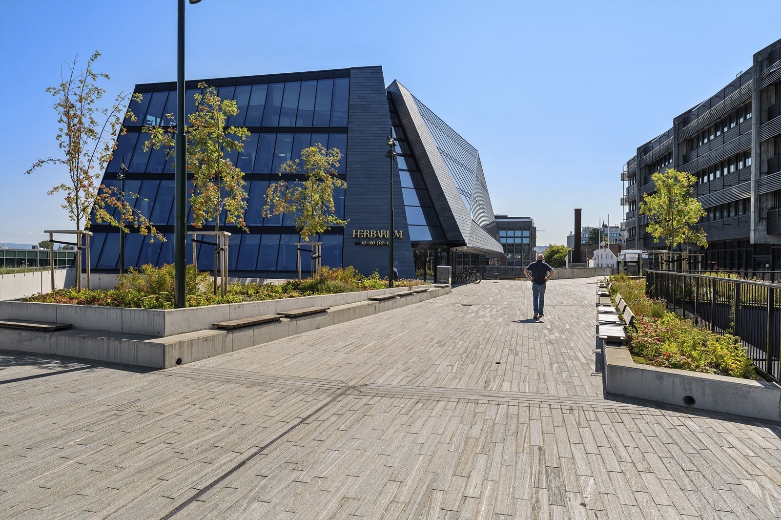 Kort gangavstand til Herbarium. Galleribilde