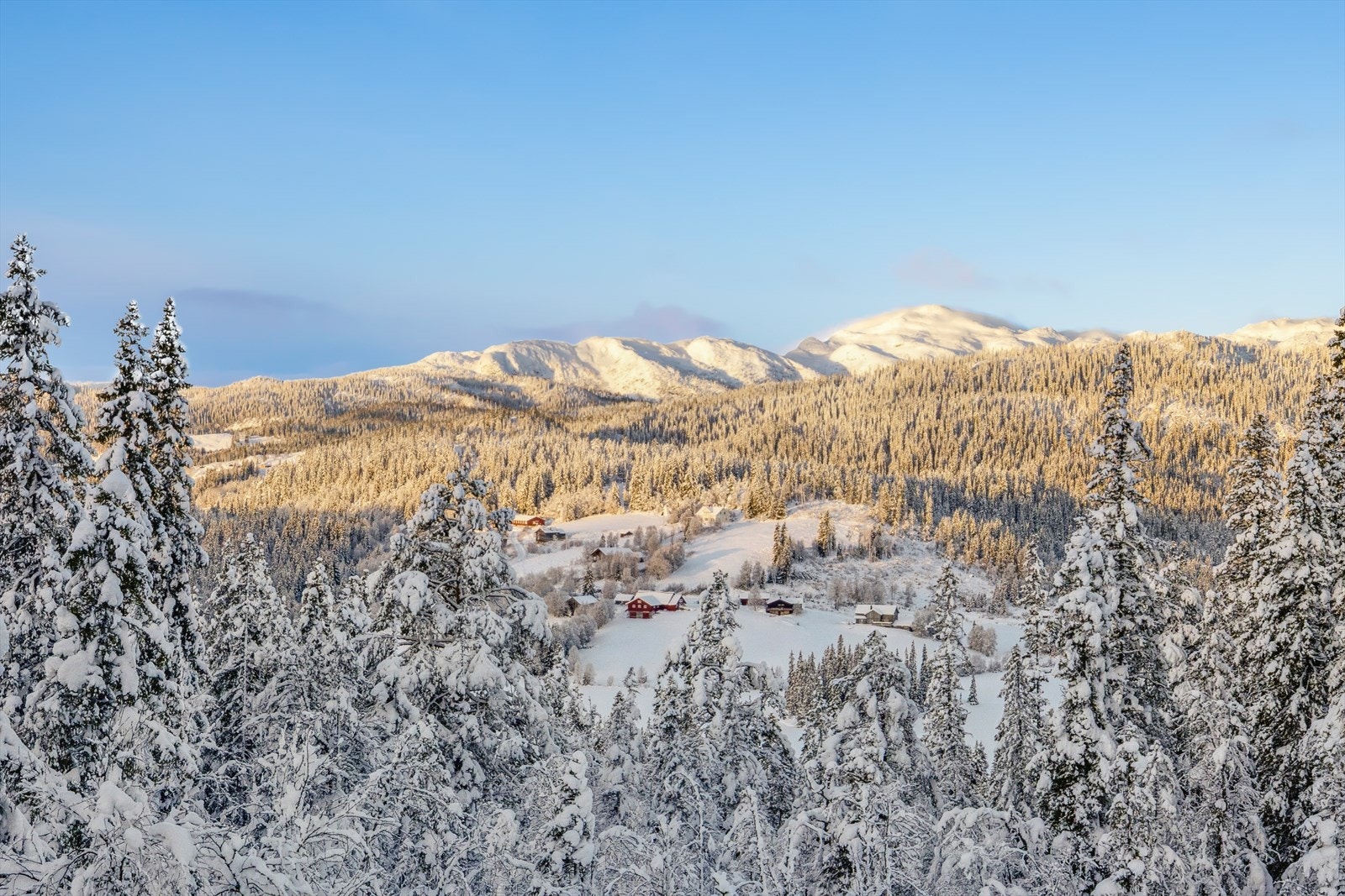 Hytta ligger i det naturskjønne hytteområdet Øyfjell, ca. 787 meter over havet. Galleribilde