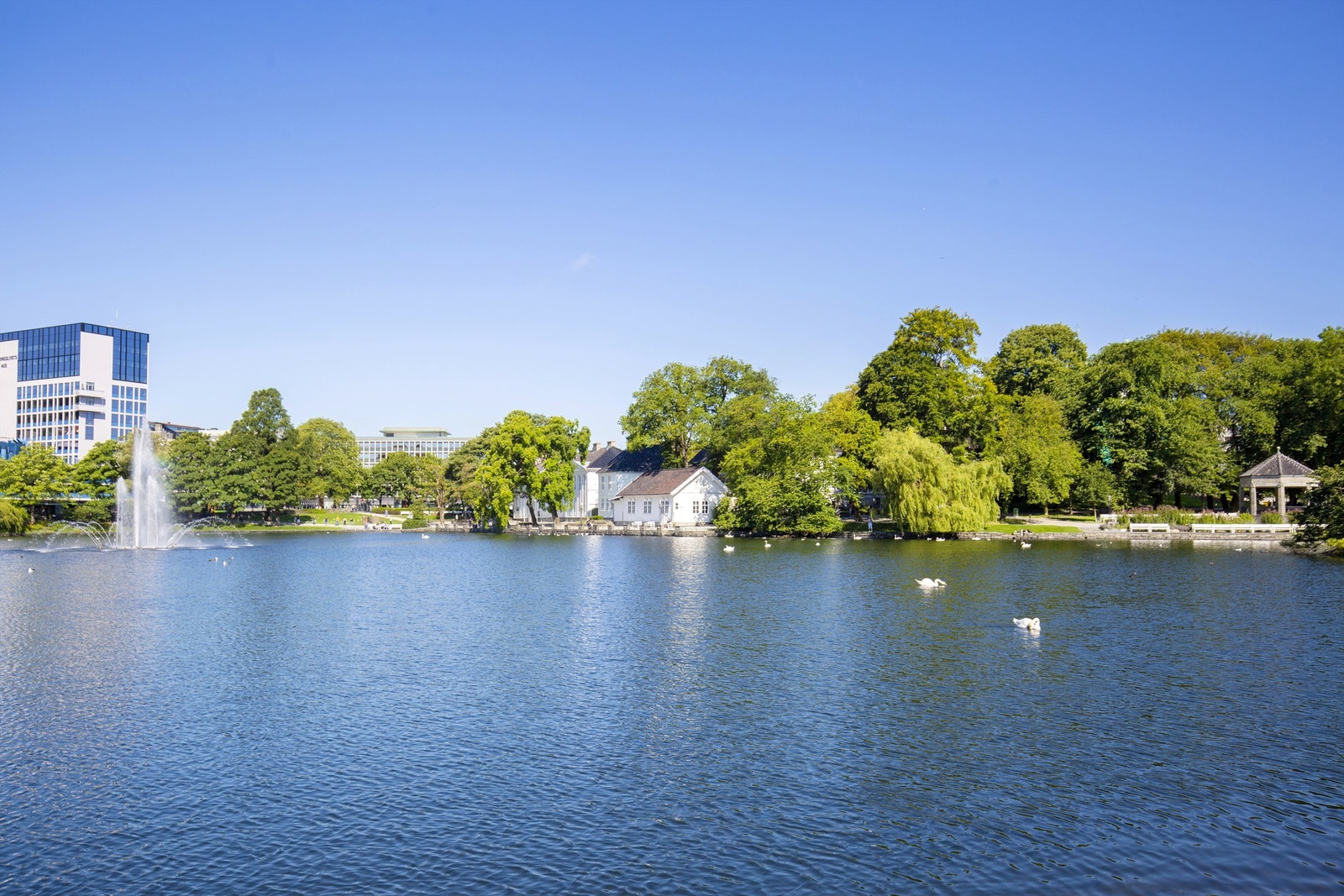 Nærområde. Galleribilde