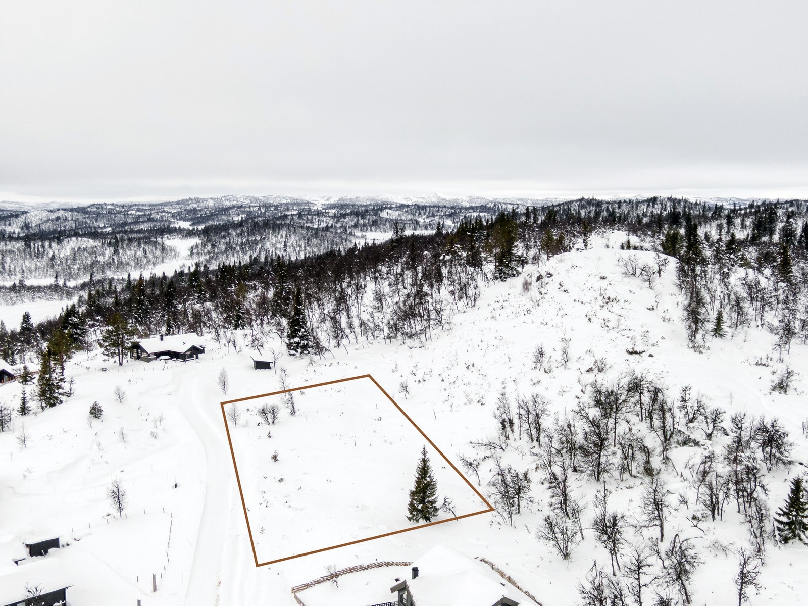 Helårsvei! Galleribilde