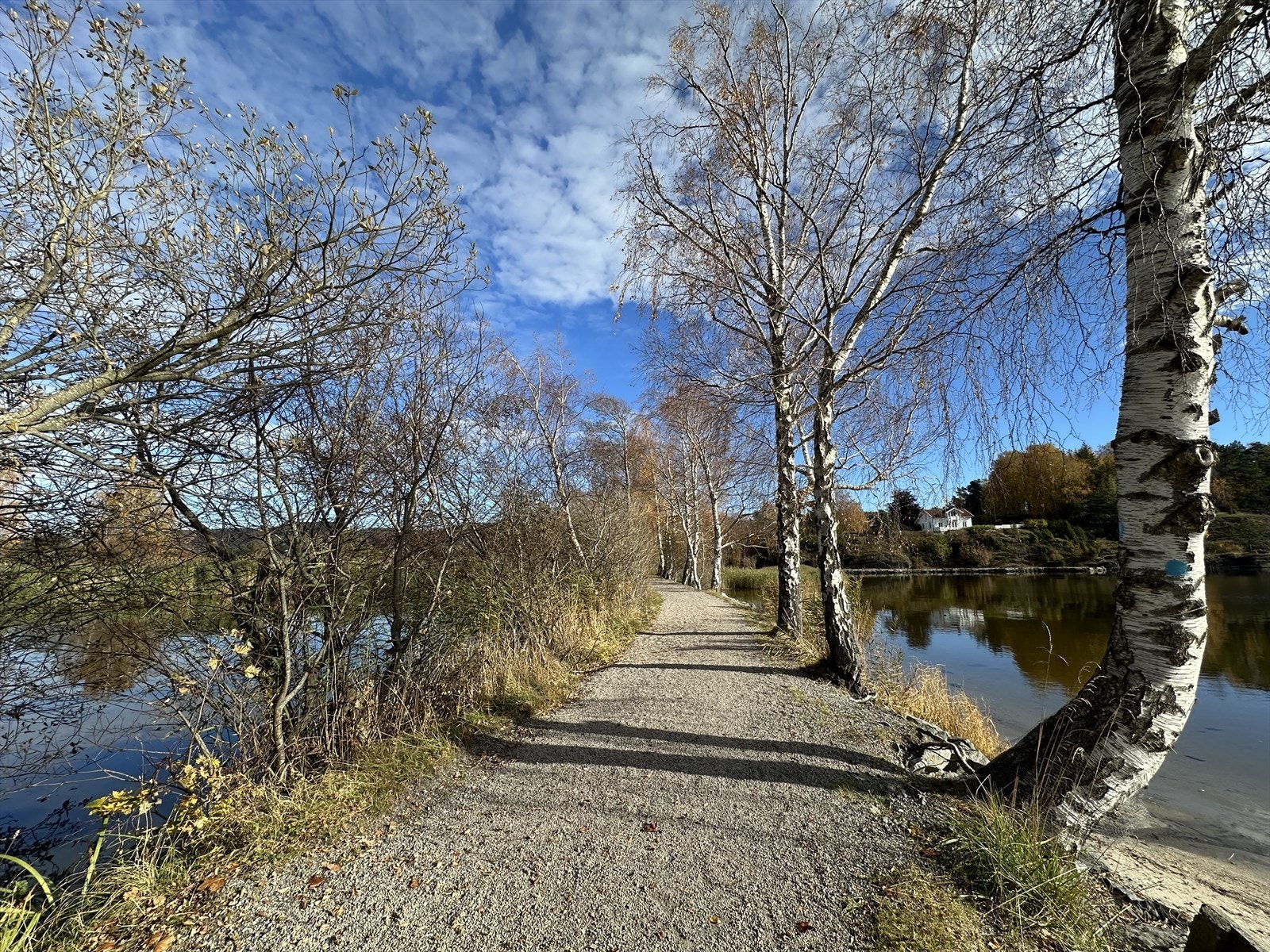 Gangsti til Kotøya Galleribilde