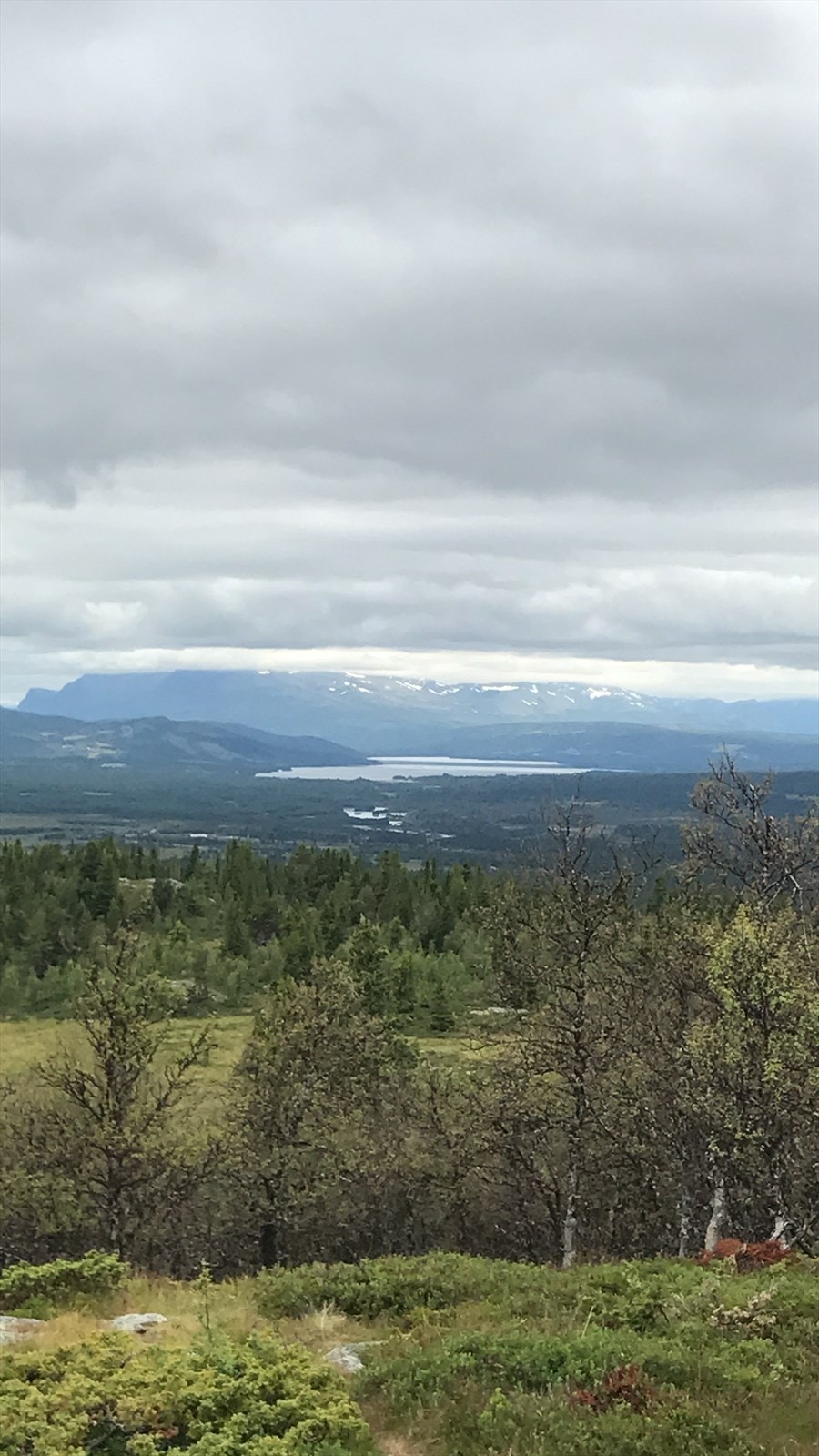 Turer til Falken, Nystølsvarden, Flaggslettknatten og Haugsetfjellet kan alle anbefales. Galleribilde