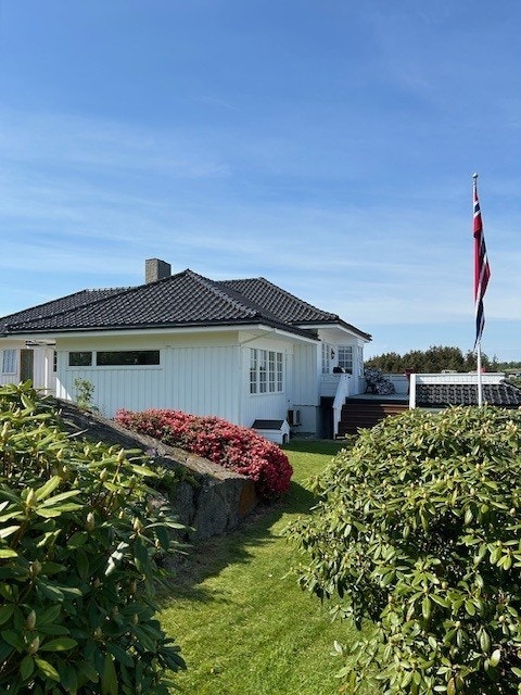 Selgers bilde Galleribilde