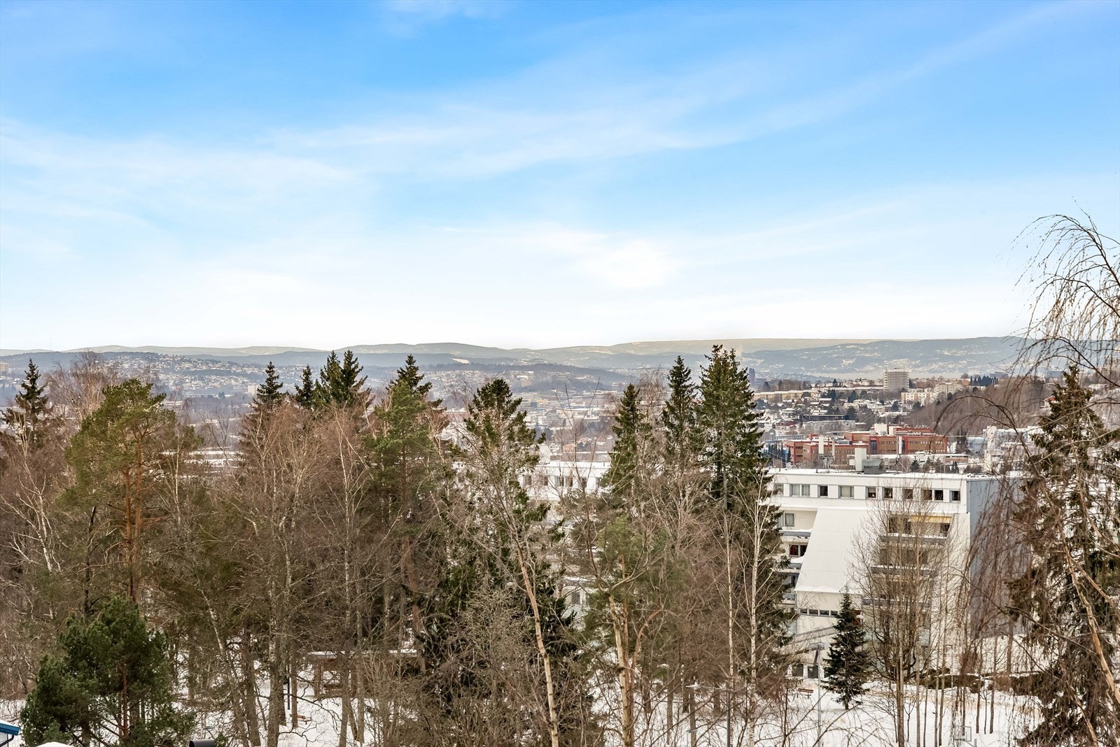 Flott utsikt mot Oslo! Galleribilde