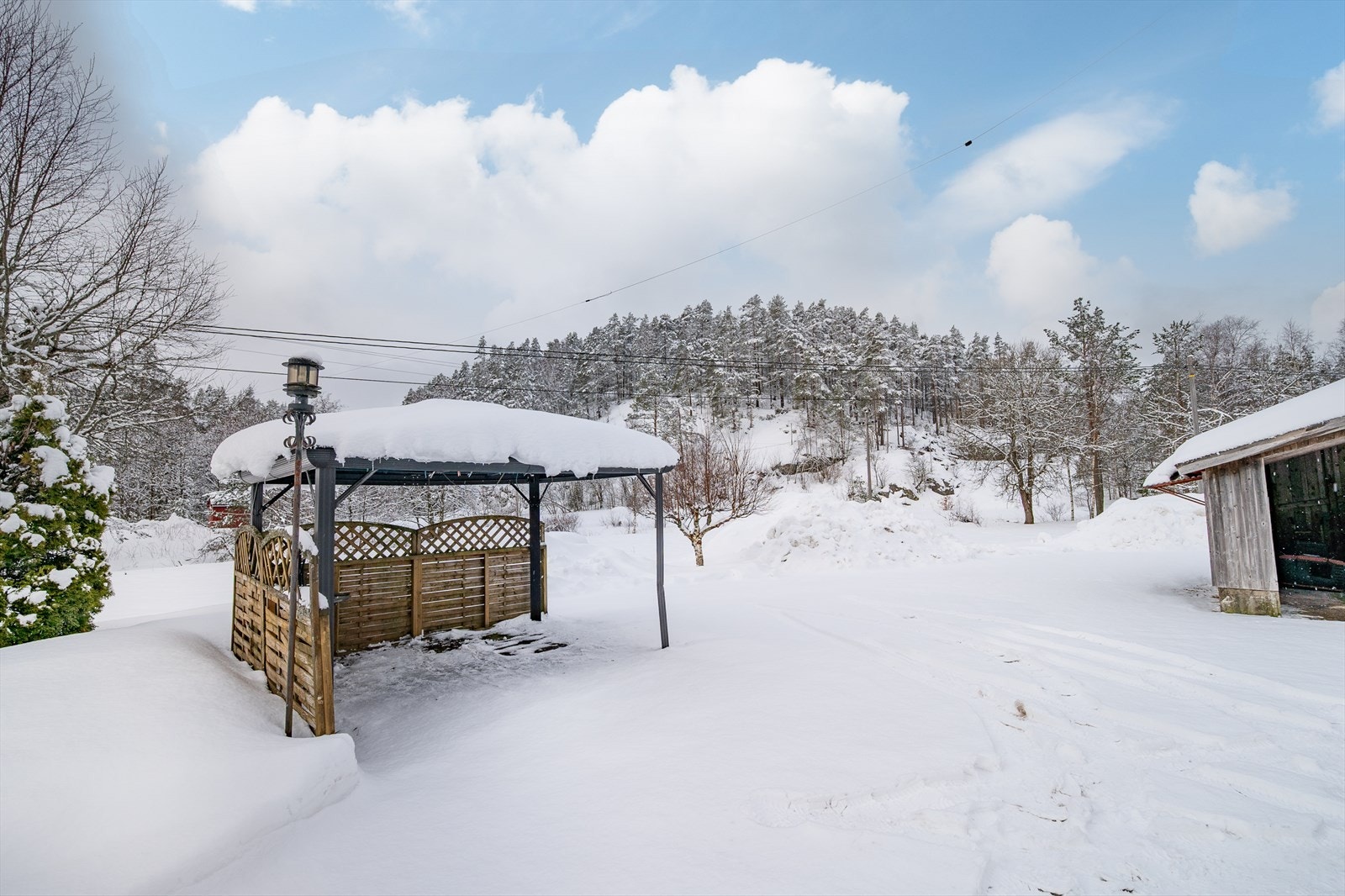 Etablert tomt med pergola, frukttrær og beplantning Galleribilde