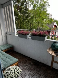 Sommerbilder fra balkongen. Galleribilde