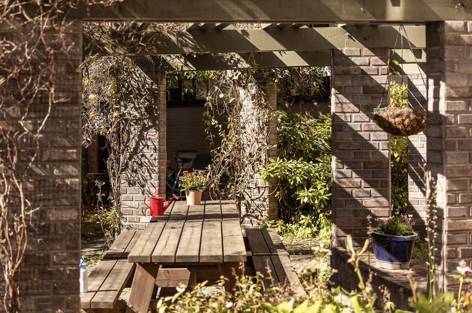 Felles sittegrupper og grill. Galleribilde