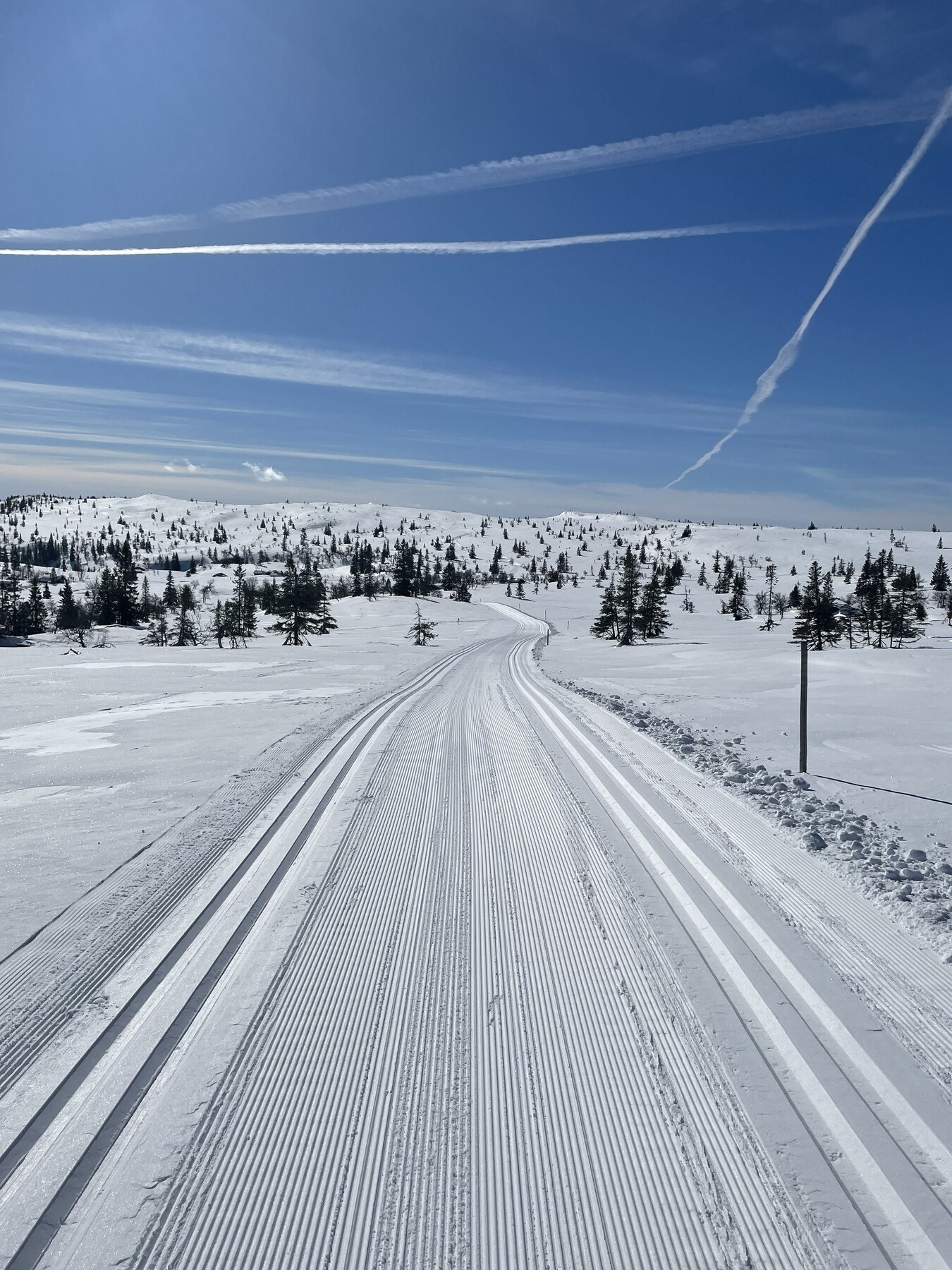 Privat bilde Galleribilde