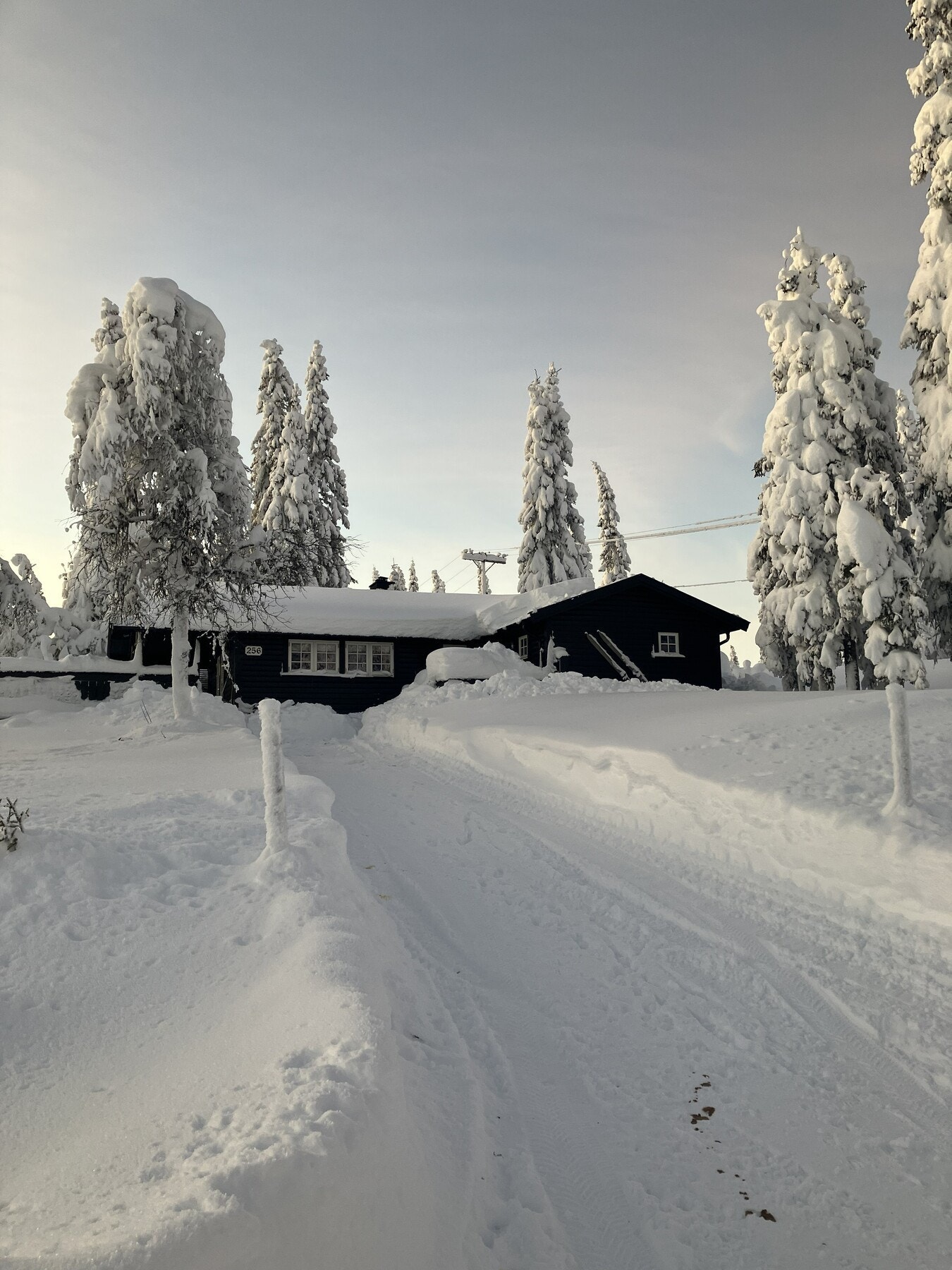 Privat bilde Galleribilde