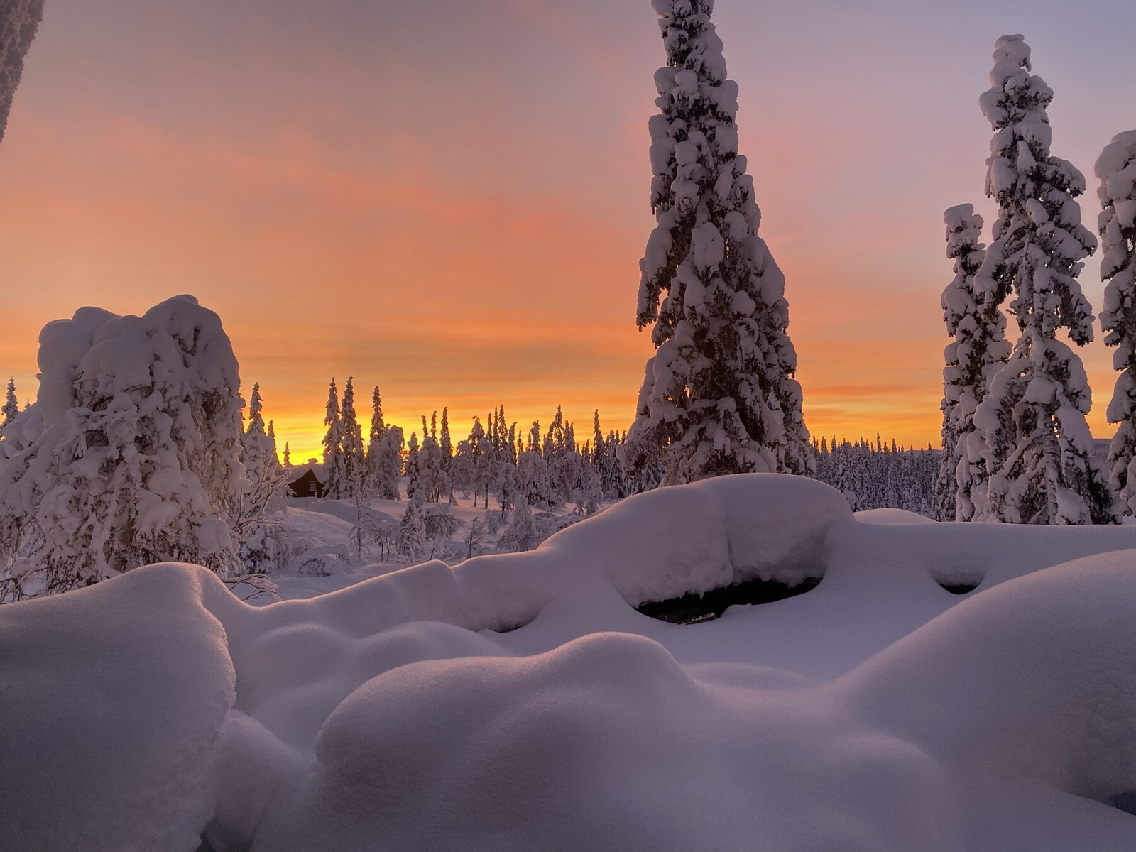 Privat bilde Galleribilde