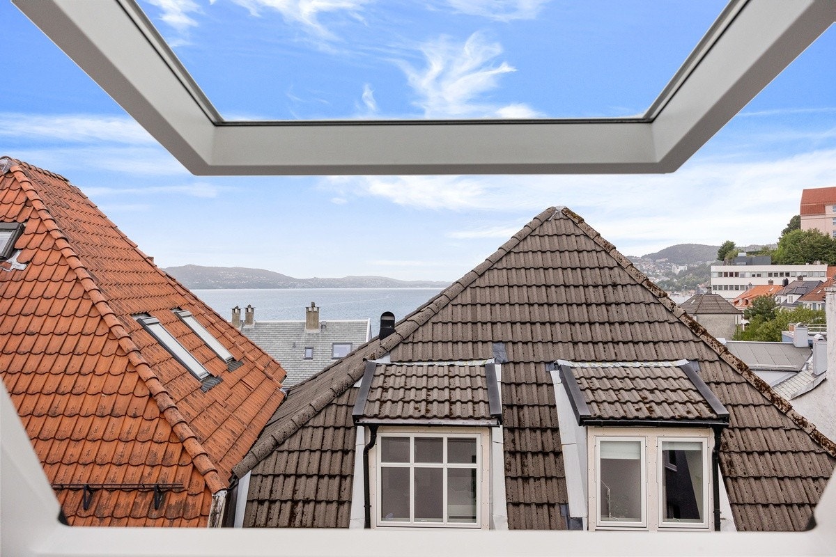 Utsikt Galleribilde