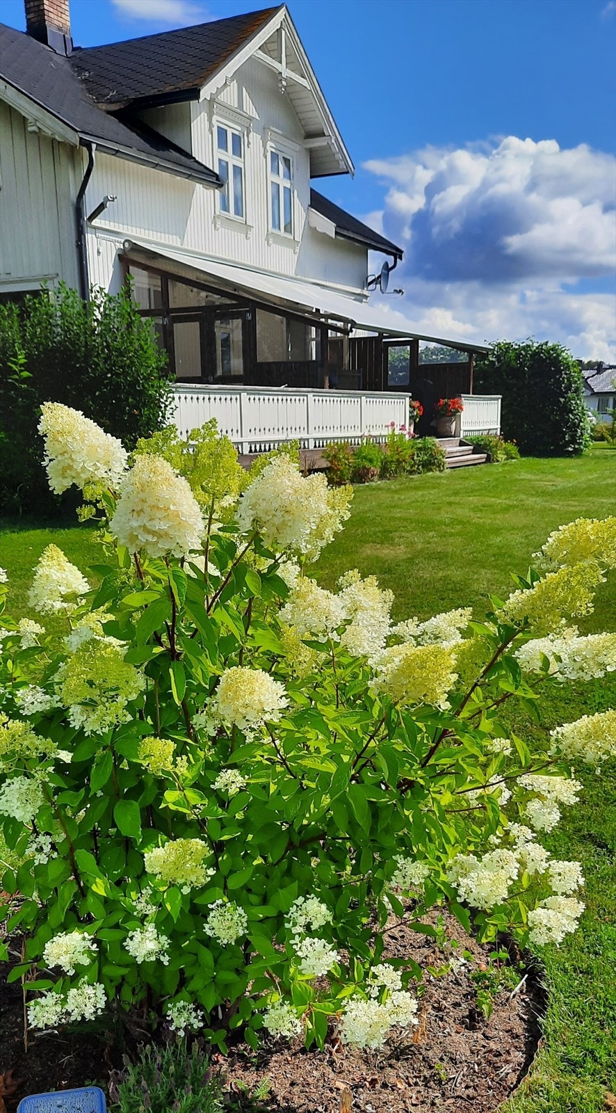 Privat bilde fra i sommer Galleribilde