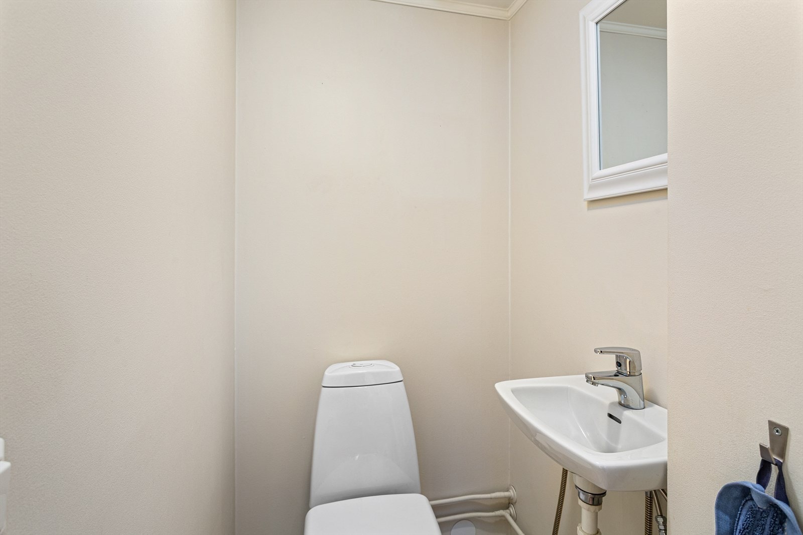 Praktisk WC. Galleribilde