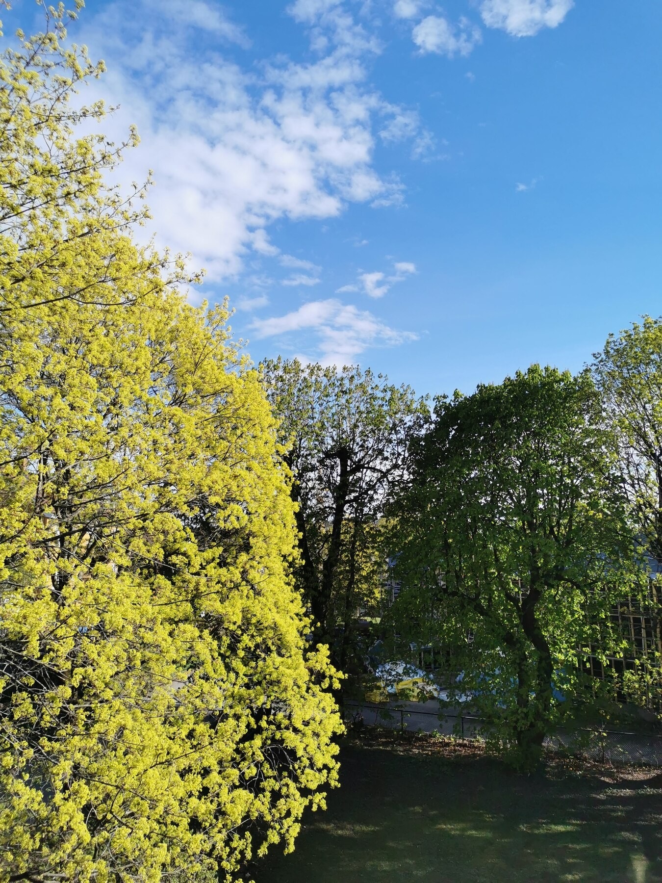 Eiendommen har nærhet til flotte grøntområder som gir gode muligheter for turer, rekreasjon og utendørs aktiviteter i rolige og naturskjønne omgivelser. Galleribilde