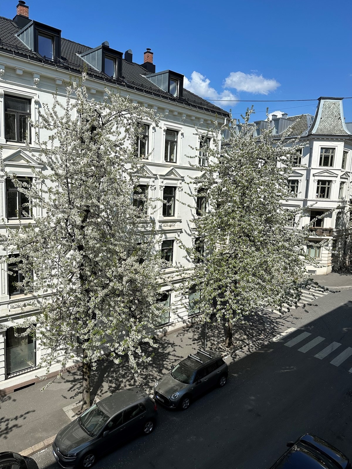 En vakker, rolig og lite trafikkert gate med utelukkende klassisk bebyggelse og flotte kirsebærtrær som blomstrer om våren. Galleribilde