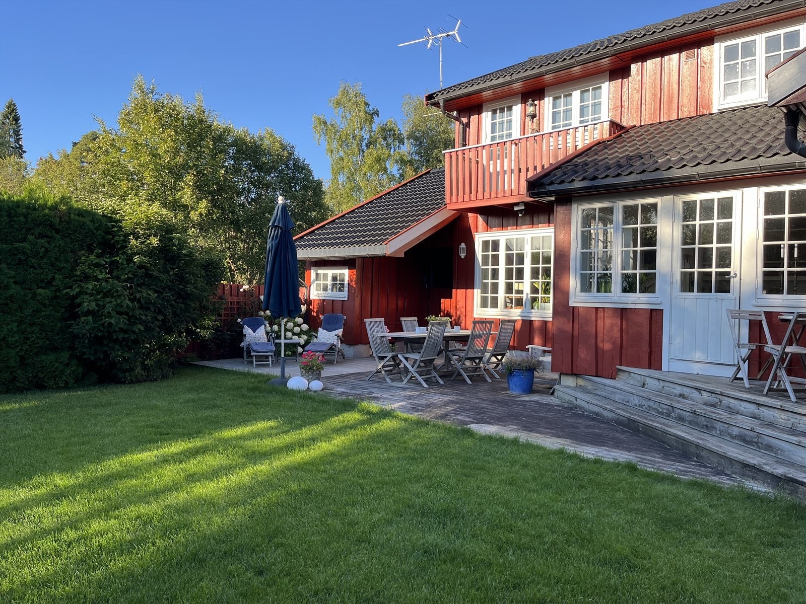 Selgers sommerbilde fra hagen. Galleribilde