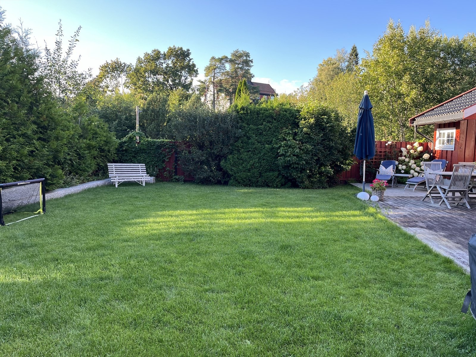 Selgers sommerbilde fra hagen. Galleribilde