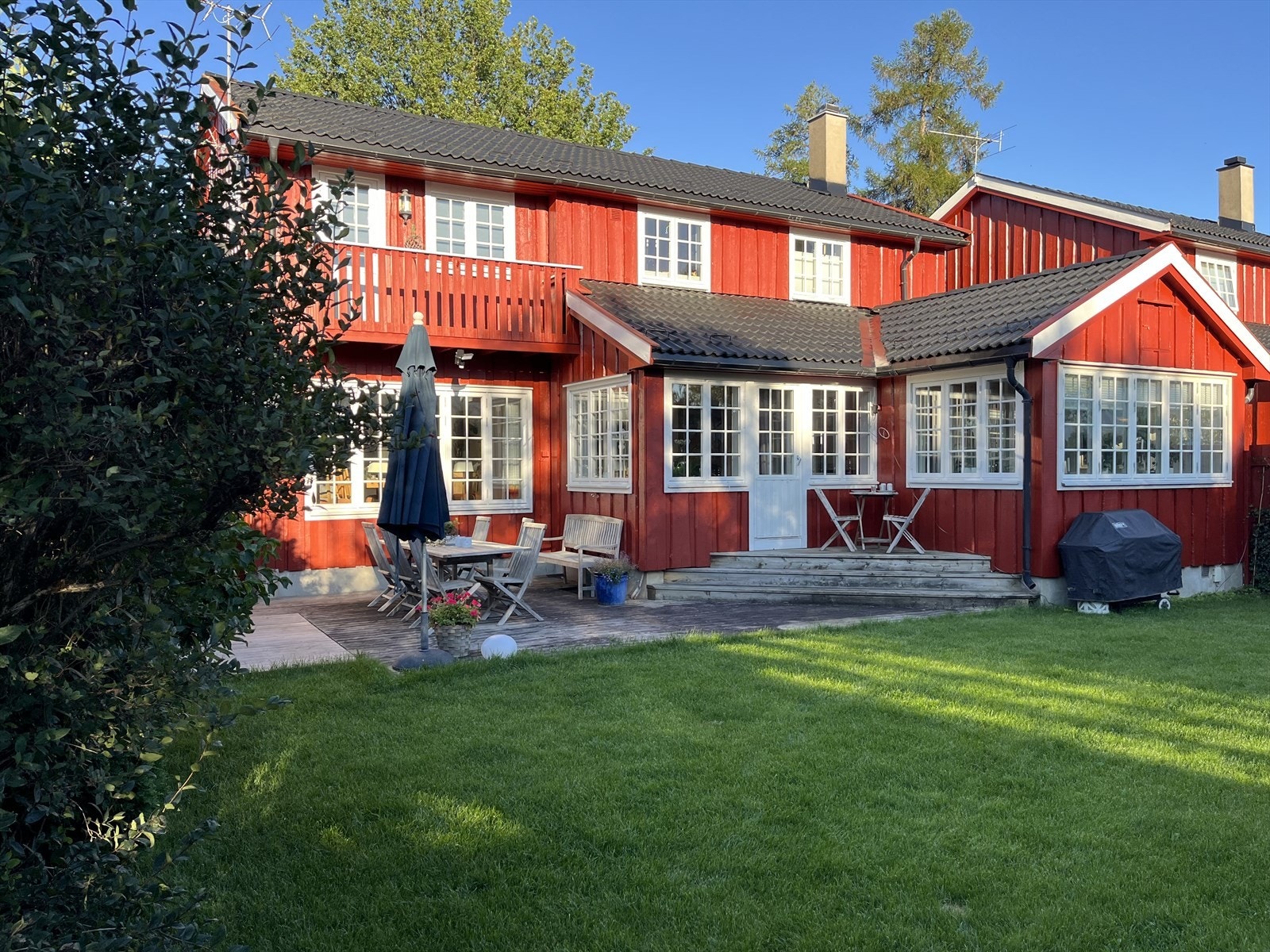 Selgers sommerbilde fra hagen. Galleribilde