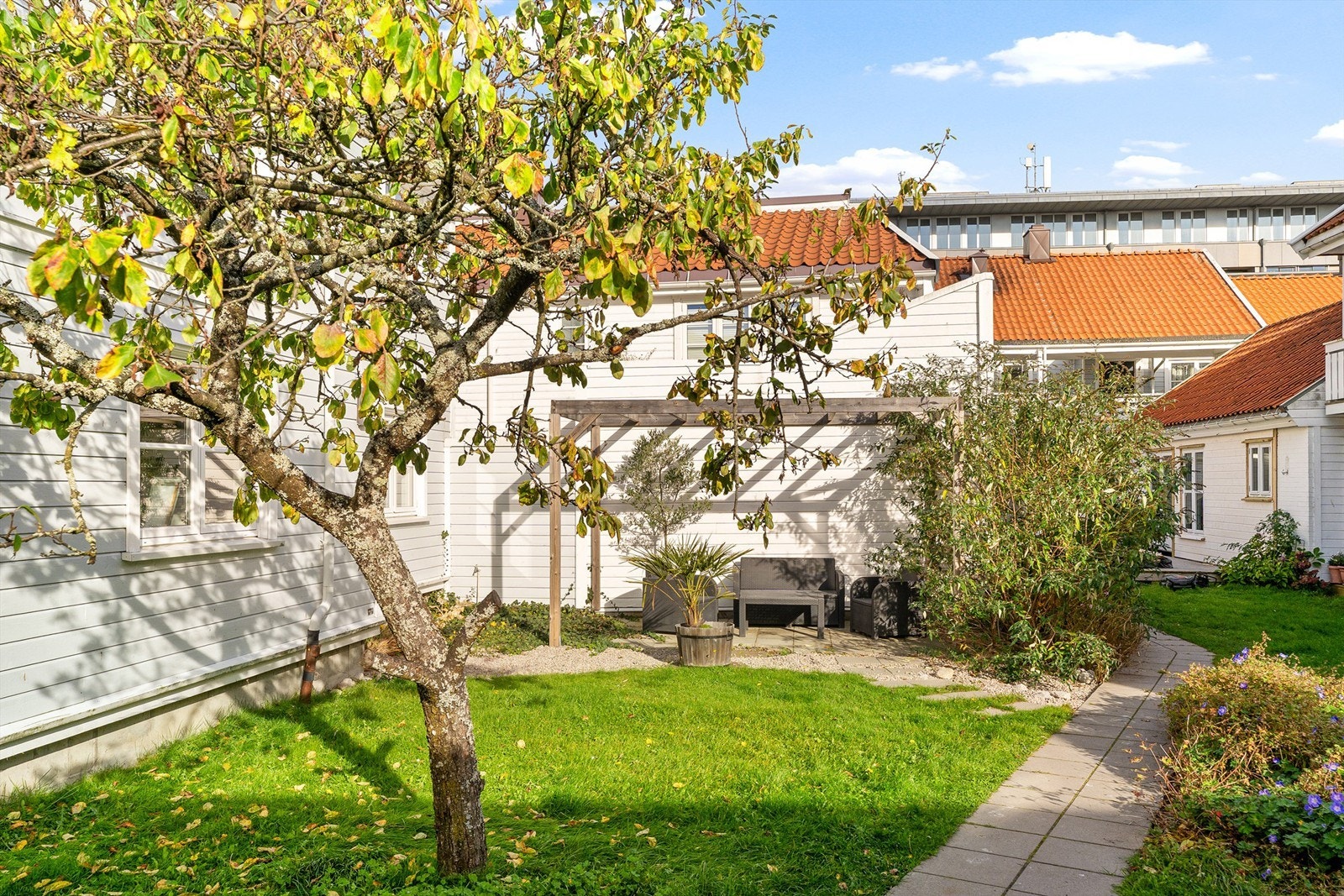 Felles koselig hage med hagemøbler og pergola. Galleribilde