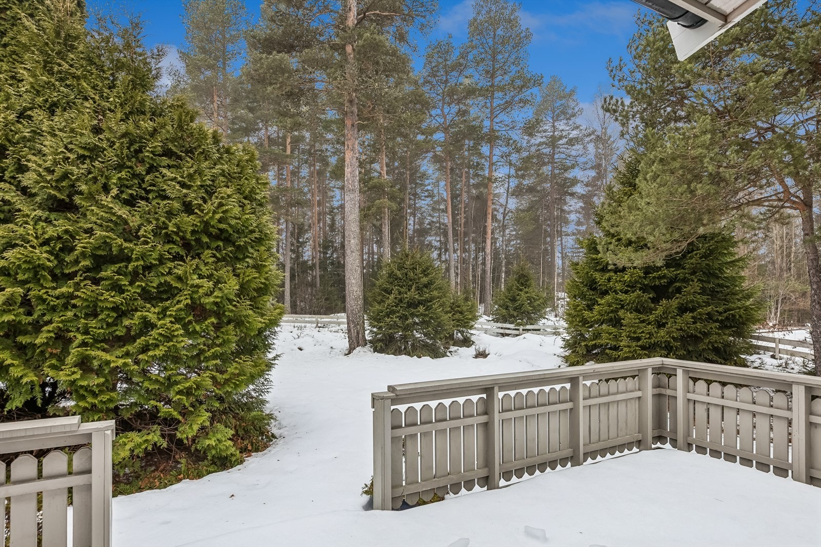 Tomten grenser mot skogsarealer. Galleribilde