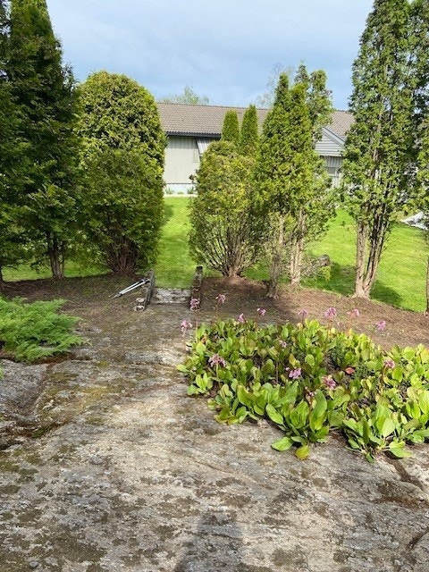 Tomten er pent opparbeidet med plen, beplantning og naturlig berg. Selgers eget bilde. Galleribilde